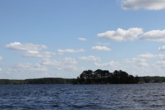 IMG_7990